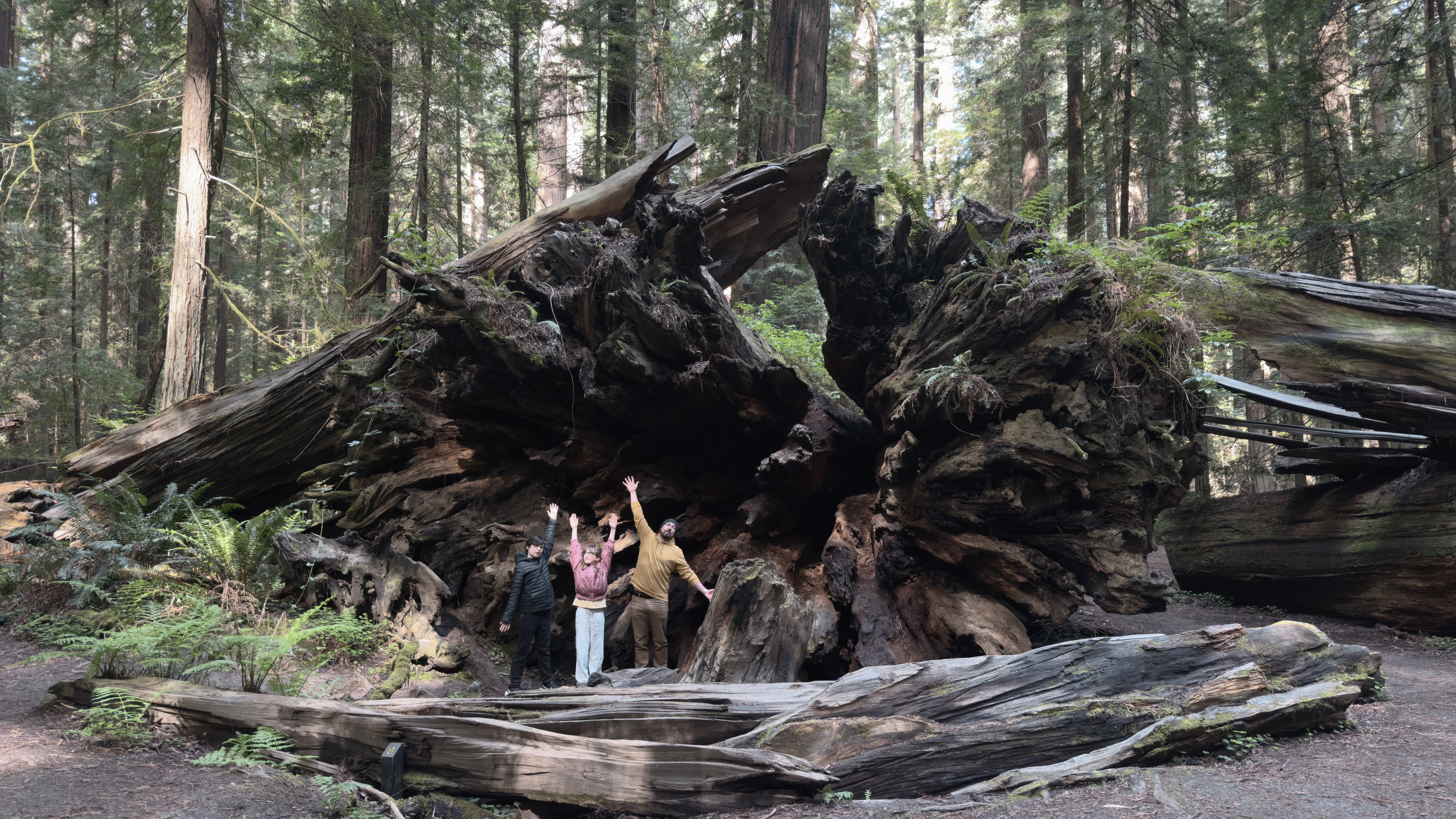 Family inside the root system of a fallen Redwood in Northern California.